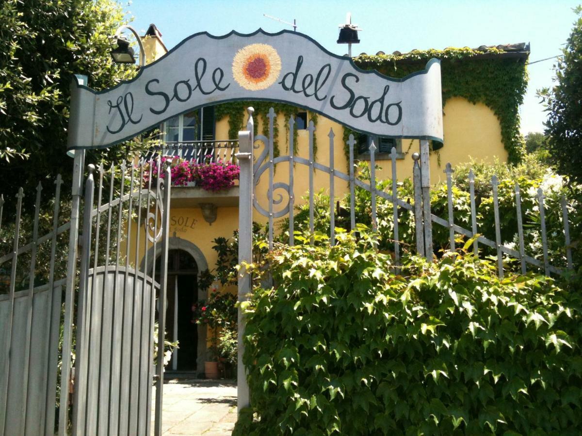 코르토나 Il Sole Del Sodo 게스트하우스 외부 사진